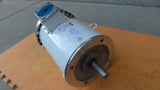 Leeson 132440.00 Washdown Motor C184T17WC10A 5HP 230V 460V 3PH 184TC