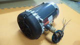 Marathon 056T17G15545 Motor 3/4 HP 56T17G15545 Hazardous Location 1725